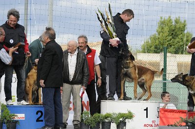 Remise des Prix 214.JPG - CHIENPLUS.COM